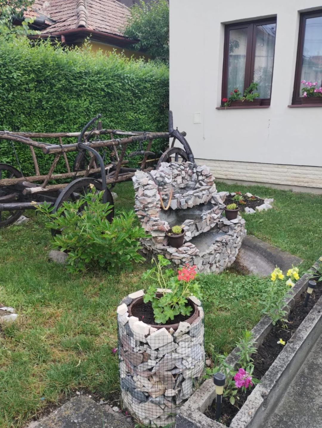Casa Darius Cluj Διαμέρισμα Εξωτερικό φωτογραφία